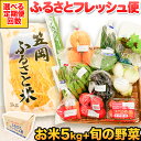 【ふるさと納税】【定期便あり】選べる回数 ふるさとフレッシュ便 米15kg 野菜 果物 8種 JA晴れの国岡山 笠岡アグリセンター 米5kg 旬の野菜(果物)8種類以上 定期 計1回 3回12回お届け 笠岡ふるさと米 野菜 果物 送料無料 岡山県 笠岡市《お申込月の翌月より発送》