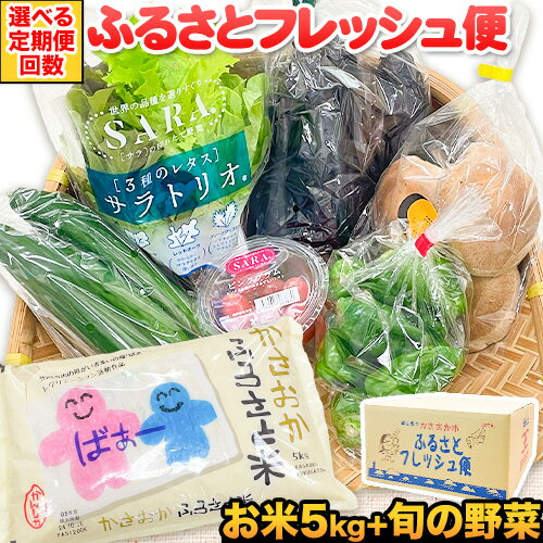【ふるさと納税】【定期便あり】選べる回数 ふるさとフレッシュ便 米 5kg 野菜 5種 JA晴れの国岡山 笠岡アグリセンター 米5kg 旬の野菜5種類 定期 計1回 3回 12回 お届け 笠岡ふるさと米 野菜 送料無料 岡山県 笠岡市《お申込月の翌月より発送》 その1