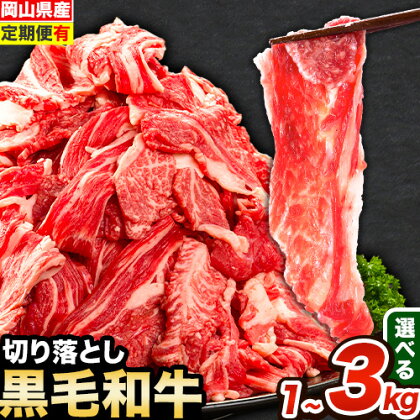 牛肉 肉 黒毛和牛 切り落とし 訳あり 大容量 小分け 1kg～3kg 1パック 250g 選べる【定期便有】《60日以内に出荷予定(土日祝除く)》岡山県産 岡山県 笠岡市 お肉 にく カレー 牛丼 切り落し 切落し