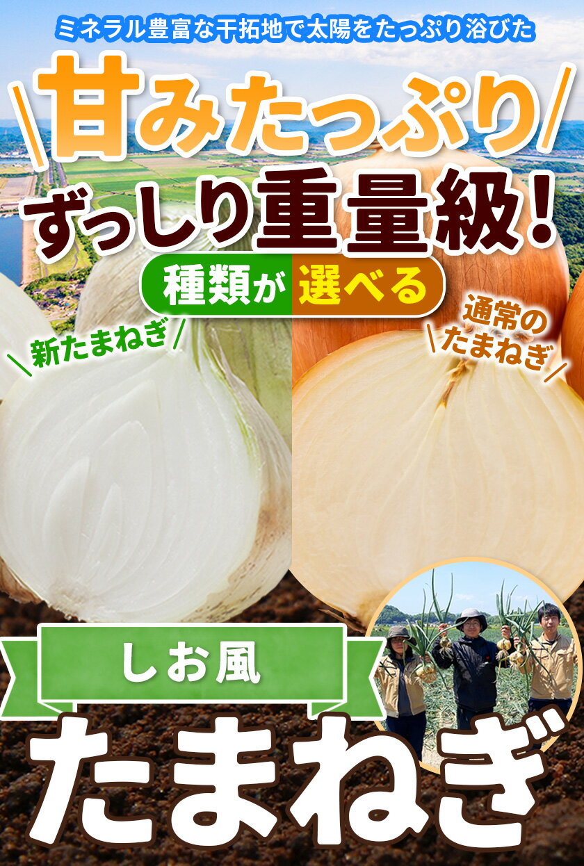 【ふるさと納税】しお風たまねぎ 選べる 種類と内容量 新たまねぎ または 通常のたまねぎ 約10kg または 約15kg《5月下旬-6月上旬頃出荷(土日祝除く)》《6月上旬-6月末頃出荷(土日祝除く)》 玉ねぎ 新たまねぎ 野菜 青果物 選べる内容量 岡山県 笠岡市