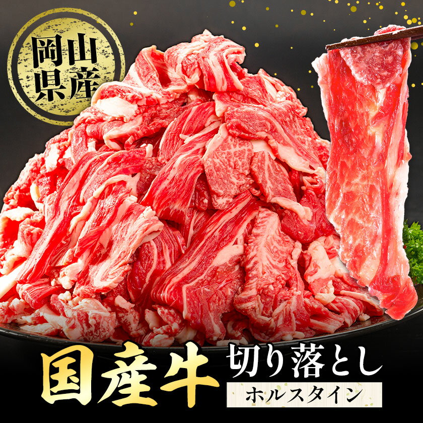 【ふるさと納税】牛肉 肉 国産牛 切り落とし ホルスタイン 大容量 小分け 600g〜1.8kg 1パック 300g 定期便 有 3ヶ月 6ヶ月 《出荷時期をお選びください》岡山県産 岡山県 笠岡市 お肉 にく カレー 牛丼 牛肉 切り落し 小分け 切落し 牛肉 小分け 牛肉