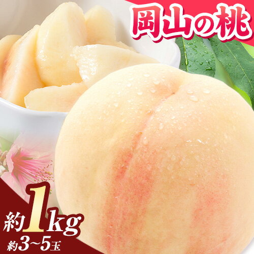 ڤդ뤵Ǽǡۡ6ǯٽв ͽ  1kg(3~5)2024ǯ6-9ܺв١     ϤȤ  ե롼 ʪ ǥ    ͽ ̵ ʪ  ޲  ˱  