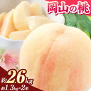  桃 岡山 約2.6kg(約1.3kg×2箱) 《2024年6月下旬-9月上旬頃出荷》 ご家庭用 訳あり 白桃 はくとう フルーツ 果物 旬 岡山県 笠岡市 モモ もも 先行予約 送料無料 清水白桃 白鳳 白麗 送料無料 クール便