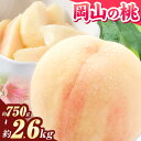 【ふるさと納税】【先行予約】桃 岡山の桃 岡山黄桃 約750g 約1kg 約2.6kg《2026年6月下旬-9月中旬頃出荷》 ご家庭用 訳あり 白桃 岡山 黄桃 はくとう スイーツ フルーツ 果物 デザート 旬 モモ もも 先行予約 送料無料 果物 岡山県 笠岡市 清水白桃 白鳳 白麗 クール便