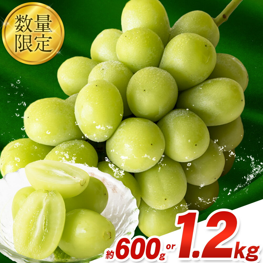 秀品 シャインマスカット 岡山 秋旬 数量限定 大粒 約600g or 1.2kg 1房 2房 産地直送 葡萄 果物 秀品 スイーツ フルーツ デザート 岡山県 笠岡市 簡易包装 [9月中旬〜11月上旬頃に出荷予定(土日祝除く)]