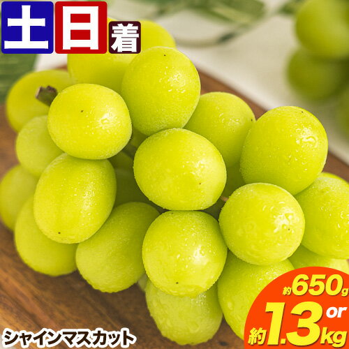 先行予約 シャインマスカット 岡山 約650g 1房 約1.3kg 2房 厳選 旬 ぶどう ブドウ 葡萄 晴王 マスカット 果物 フルーツ ギフト 岡山県 笠岡市 訳あり クール便 爽やか 贅沢[2025年9月上旬-11月中旬頃出荷]