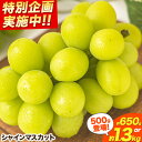 【ふるさと納税】 【限定企画登場!】 シャインマスカット 岡山 約650g 1房 約1.3kg 2房 厳選 旬 ぶどう ブドウ 葡萄 晴王 マスカット 果物 フルーツ ギフト 岡山県 笠岡市 訳あり クール便 爽やか 贅沢《2025年9月上旬-11月中旬頃出荷》