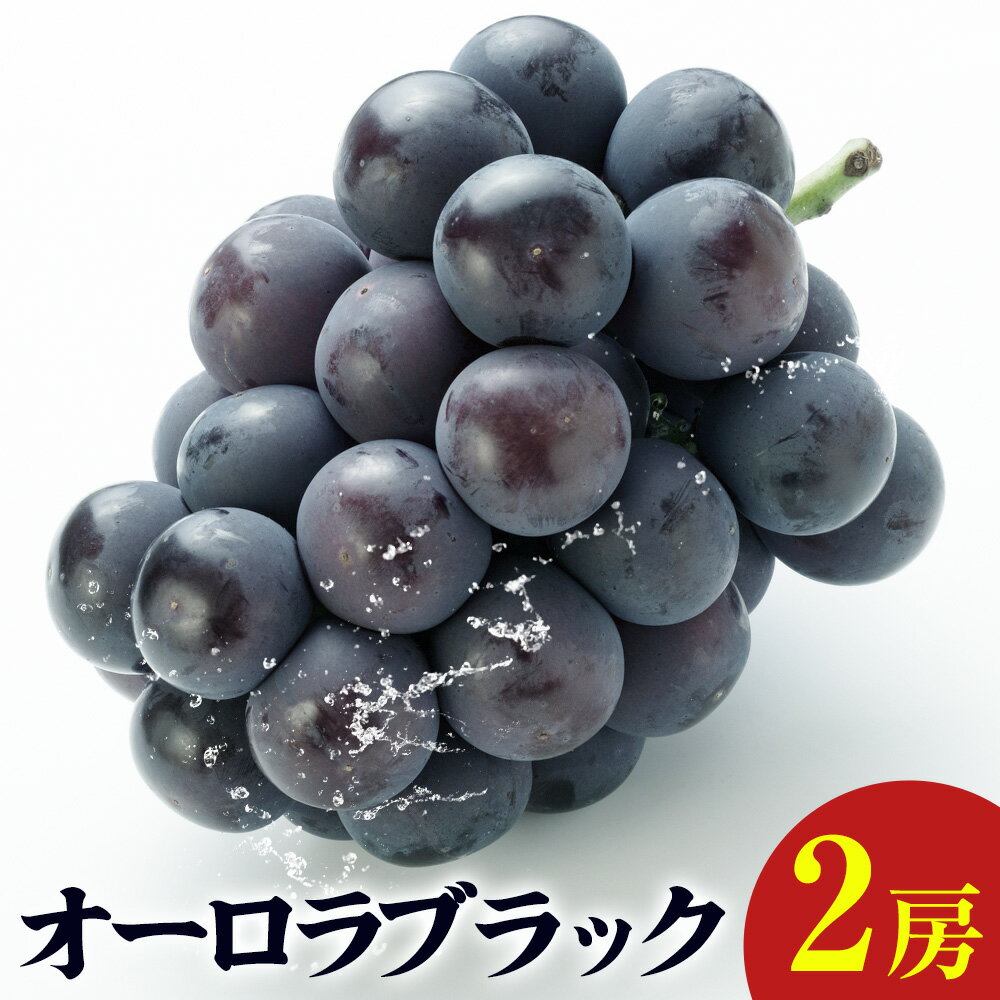 オーロラブラック 2房入り[9月上旬-9月中旬頃出荷]岡山県 笠岡市 石丸葡萄農園 葡萄 ぶどう フルーツ 果物