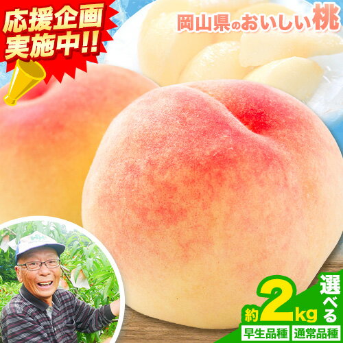 【ふるさと納税】【6月中旬〜7月上旬頃発送予定】【7月中旬〜8月上旬頃発送予定】内容が選べる 桃 2kg もも 岡山 はなよめ 白川白鳳 白鳳 紅清水 よし姫 なつおとめ 川中島白桃 岡山県 笠岡市 送料無料 果物 フルーツ お取り寄せのサムネイル