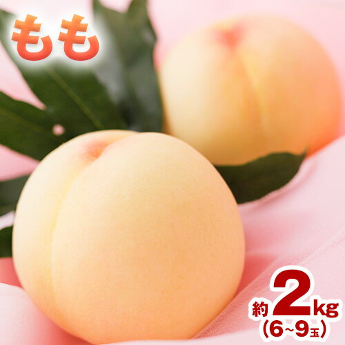 [先行予約]もも 桃 恵白・白麗・白露・白皇 いずれか1品種をお届け 2kg 6〜9玉 小寺農園[2025年8月上旬-8下旬頃出荷] 岡山県 笠岡市 岡山県産 白桃 恵白 白麗 白露 白皇 モモ 果物 フルーツ 先行予約