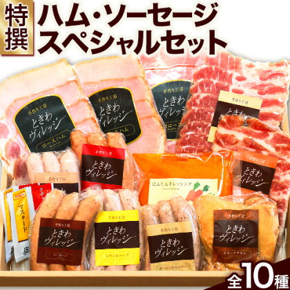 特選 ハム ソーセージ スペシャルセット 10種 肉 豚肉 ロースハム スモークチキン 社会福祉法人敬業会ヴィレッジ興産 ときわヴィレッジ 岡山県 笠岡市 肉 豚肉 ロースハム スモークチキン あらびきポーク にんじん ドレッシング ギフト