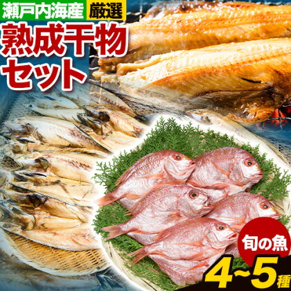 干物 ひもの 海鮮 熟成干物セット 4 ~ 5 種 セット 笠岡魚市場 岡山県 笠岡市 旬 魚 お魚