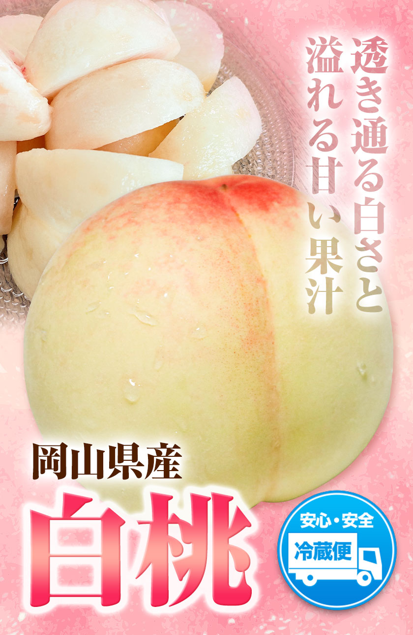 【ふるさと納税】先行受付 岡山県産 白桃（1玉　220g以上8玉入りロイヤル）令和8年産 《2026年7月中旬-8月下旬頃出荷》 【配送不可地域あり】