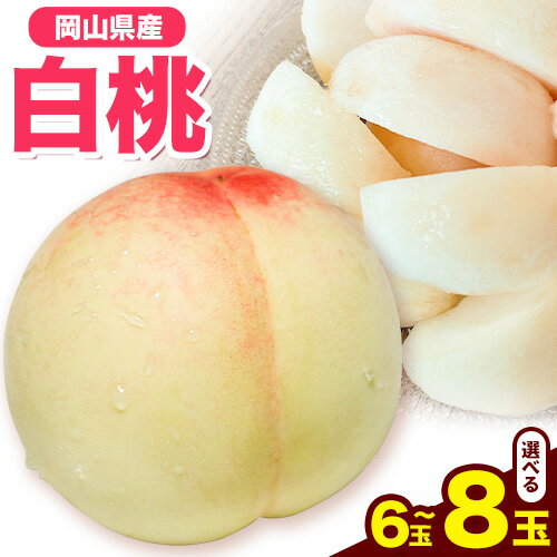 先行受付 岡山県産 白桃(1玉 220g以上8玉入りロイヤル)令和8年産 [2026年7月中旬-8月下旬頃出荷] [配送不可地域あり]