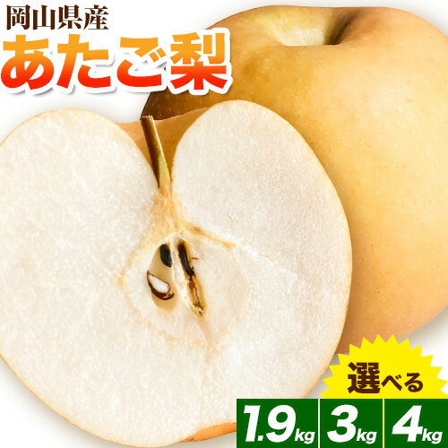 岡山県産 あたご梨 大玉2個入り(1玉 950g以上) 令和6年産先行受付