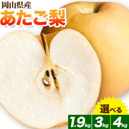 岡山県産 あたご梨　大玉2個入り（1玉　950g以上) 令和6年産先行受付