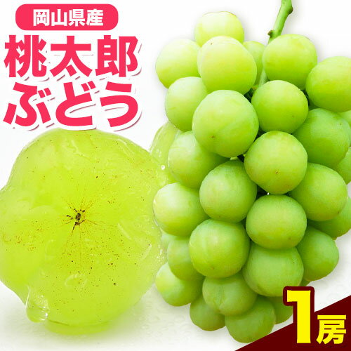 【ふるさと納税】岡山県産桃太郎ぶどう（1房680g以上）1房入り　令和6年産先行受付【配送不可地域あり】