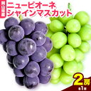 【ふるさと納税】岡山県産ニューピオーネ（1房580g以上）＆シャインマスカット「晴王」（1房580g以上）（令和6年産先行受付）【配送不..