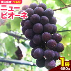 【ふるさと納税】岡山県産ニューピオーネ（1房680g以上）1房入り　令和6年産先行受付【配送不可地域あり】