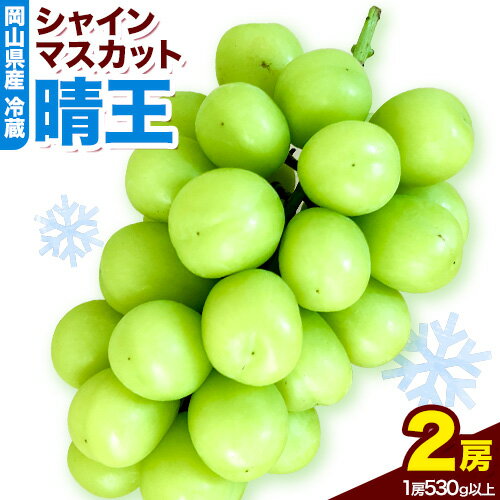 【ふるさと納税】　岡山県産　冷蔵シャインマスカット（1房530g以上2房入り）令和6年度産先行受付【配送不可地域あり】