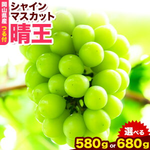 【ふるさと納税】岡山県産シャインマスカット(晴王)(1房580g以上 2房入り)(令和8年産先行受付) 《2026年9月上旬-10月下旬頃出荷》 葡萄 ぶどう ブドウ マスカット シャインマスカット 種無し フルーツ 獲れたて【配送不可地域あり】