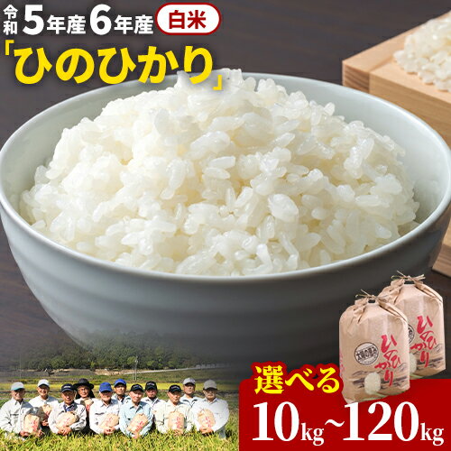 [令和5年産][令和6年産 予約受付]白米 岡山県産 ひのひかり 笠岡産 選べる 収穫時期 内容量 回数 10kg 20kg 30kg 60kg 90kg 120kg[収穫時期が選べる] 太陽の恵み O-2_10k