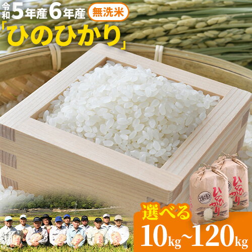 【ふるさと納税】【令和5年産】【令和6年産 予約受付】無洗米 岡山県産 ひのひかり 笠岡産 選べる 収穫時期 内容量 回数 10kg 20kg 30kg 60kg 90kg 120kg《収穫時期が選べる》 太陽の恵み O-2_10k