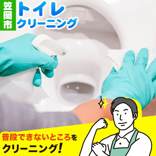 【ふるさと納税】 トイレクリーニング ベンリー笠...の商品画像