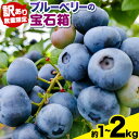 【ふるさと納税】【訳あり数量限定】ブルーベリー 選べる内容量 ブルーベリーの宝石箱 かさおか青空ファーム 先行予約《2025年6月上旬-8月下旬頃出荷》 岡山県...
