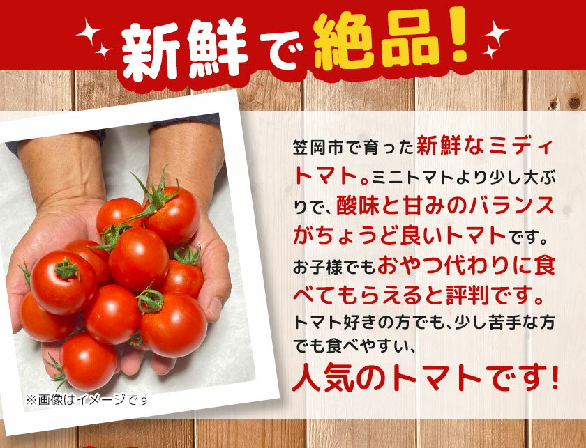 【ふるさと納税】笠岡産ミディトマト2.4kg（数量限定）トマト フルーツトマト 中玉 原田農園《10月上旬‐6月末頃出荷》 岡山県 笠岡市 岡山県産 トマト 野菜 笠岡市産