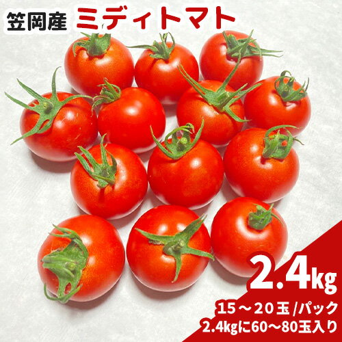 【ふるさと納税】笠岡産ミディトマト2.4kg（数量限定）トマ