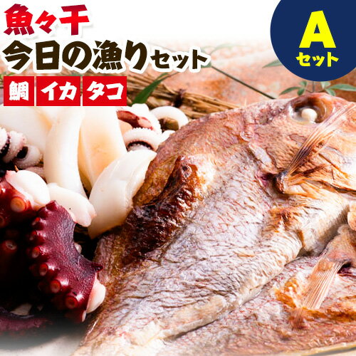 【ふるさと納税】A-135 魚々干 今日の漁りセット Aセッ