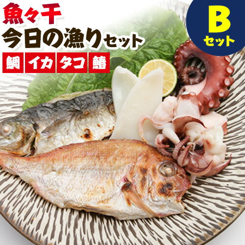 【ふるさと納税】A-136 魚々干 今日の漁りセット Bセッ