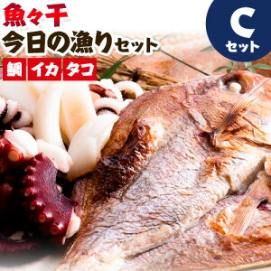 【ふるさと納税】B-106 魚々干 今日の漁りセット Cセット 灰干し 鯛 イカ タコ 特定非営利活動法人 かさおか島づくり海社《45日以内に出荷予定(土日祝除く)》岡山県 笠岡市 魚 さかな 干し おまかせ 詰め合わせ 天然魚介 魚介