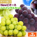 【ふるさと納税】ぶどう Newピオーネ&シャインマスカット 計2房(各1房ずつ) ギフト箱入り ふじまる《8月下旬-9月下旬頃出荷》岡山県 笠岡市 送料無料 葡...