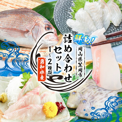 【ふるさと納税】鮮魚 詰め合わせセット(1〜2種) 勇和水産《10月下旬-7月上旬頃出荷(土日祝除く)》岡山県 笠岡市 送料無料 冷蔵 おまかせ グルメ