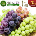 【ふるさと納税】ぶどう 4ヶ月 計10回 定期便 岡山 の ぶどう 十撰 10種 各700g 計7kg 晴れの国おかやま館(漂流岡山)《8月上旬-11月下旬頃出荷》岡山県 笠岡市 ぶどう マスカット 果物 フルーツ デザート 送料無料 【配送不可地域あり】(離島)