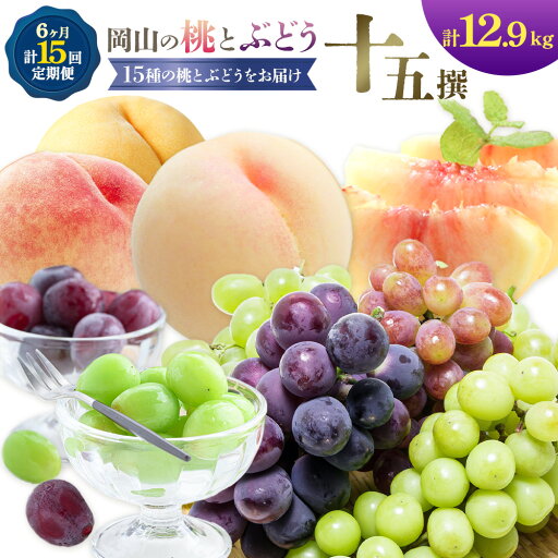 【ふるさと納税】桃 ぶどう 6ヶ月 計15回 定期便 岡山 の 桃 と ぶどう 十5撰 10種 計12.9kg 晴れの国おかやま館(漂流岡山)《7月中旬-12月中旬頃出荷》岡山県 笠岡市 もも 桃 ぶどう マスカット 果物 フルーツ デザート 送料無料 【配送不可地域あり】(離島) 【ふるさと納税】桃 ぶどう 6ヶ月 計15回 定期便 岡山 の 桃 と ぶどう 十5撰 10種 計12.9kg 晴れの国おかやま館(漂流岡山)《7月中旬-12月中旬頃出荷》岡山県 笠岡市 もも 桃 ぶどう マスカット 果物 フルーツ デザート 送料無料 【配送不可地域あり】(離島)