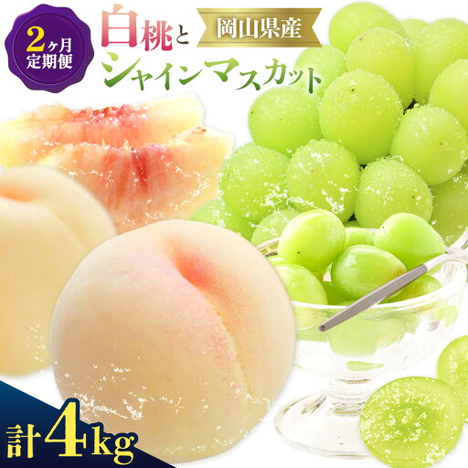 【ふるさと納税】ぶどう 白桃 2ヶ月 定期便 岡山 の 白桃 と シャインマスカット 計4kg 晴れの国おかやま館(漂流岡山)《8月下旬-9月下旬頃出荷》岡山県 笠岡市 桃 もも マスカット シャインマスカット 果物 フルーツ デザート 送料無料 【配送不可地域あり】(離島) 【ふるさと納税】ぶどう 白桃 2ヶ月 定期便 岡山 の 白桃 と シャインマスカット 計4kg 晴れの国おかやま館(漂流岡山)《8月下旬-9月下旬頃出荷》岡山県 笠岡市 桃 もも マスカット シャインマスカット 果物 フルーツ デザート 送料無料 【配送不可地域あり】(離島)