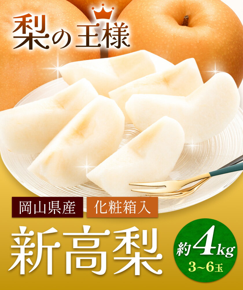 【ふるさと納税】梨 岡山県産 新高梨 約4kg 3~6玉 株式会社山博《9月下旬-11月上旬頃出荷》新高 フルーツ 化粧箱入り 岡山県 笠岡市 送料無料