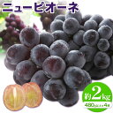 【ふるさと納税】【2025年先行予約】ニューピオーネ 1房480g以上 約2kg 4房 株式会社山博《2025年8月下旬-10月上旬頃出荷》岡山県 笠岡市 ぶどう フルーツ 旬 果物 国産 岡山県産 送料無料 【配送不可地域あり】