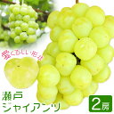 【ふるさと納税】【2025年先行予約】瀬戸ジャイアンツ 2房 (1房480g以上) 合計約1kg 化粧箱入り 株式会社山博《2025年9月上旬-10月上旬頃出荷》岡山県 笠岡市 ぶどう マスカット 果物 大粒 種なし 桃太郎ぶどう 岡山県産 国産 送料無料【配送不可地域あり】