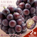 【ふるさと納税】ぶどう オーロラブラック フルーツ 2房 (1房480g以上) 化粧箱入り 株式会社山博《2025年8月下旬-9月下旬頃出荷》岡山県 笠岡市 送料無料 ブドウ 大粒 種なし 種無 贈答 果物 旬 国産 岡山県産【配送不可地域あり】