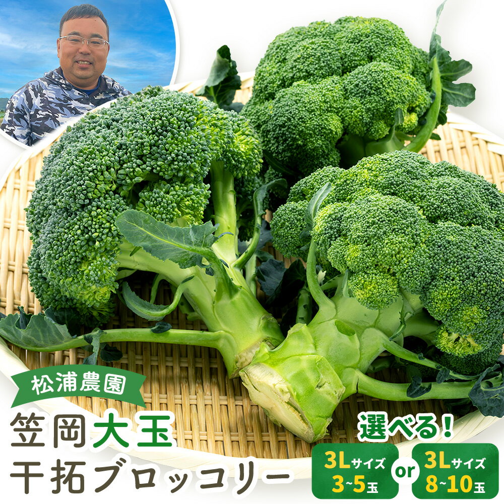 大玉 干拓 ブロッコリー 3Lサイズ 選べる 3~5玉 8~10玉 松浦農園 [配送不可地域あり](離島) [2025年12月上旬-2026年5月中旬頃出荷] 岡山県 笠岡市 野菜 青果物