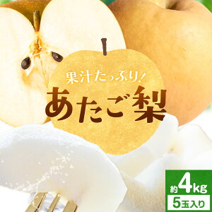 【ふるさと納税】梨 あたご梨 約4kg 5玉入り 西江果樹園《12月上旬-12月中旬頃出荷》岡山県 笠岡市 送料無料 なし 梨 ナシ 愛宕梨 果物 大玉 岡山県産 国産 フルーツ お取り寄せフルーツ