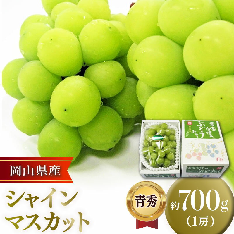 【令和6年産先行受付】岡山県産 シャインマスカット 青秀 約700g（1房） 葡萄 ぶどう 果物 フルーツ 種なし 大粒 岡山県 笠岡市