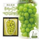 【ふるさと納税】【令和6年産先行受付】岡山県産 シャインマスカット 約850g（1房） 葡萄 ぶどう 果物 フルーツ 種なし 大粒 岡山 笠岡市