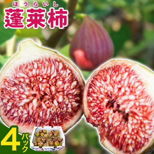 【ふるさと納税】露地いちじく(蓬莱柿(ほうらいし))280g~300g(4〜5玉)×4パック(16〜20玉)【配送不可地域:中国四国・近畿・福岡以外】JA笠岡アグリ《9月上旬-9月中旬頃出荷》岡山県 笠岡市 送料無料 イチジク フルーツ 果物 お取り寄せ