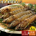 【ふるさと納税】陸上養殖 車エビ 東山陸上養殖研究所《選べる出荷時期》岡山県 笠岡市 送料無料 えび 海老 車えび 車海老 海産物 魚 刺身 天ぷら エビフライ 【配送不可地域あり】(離島)