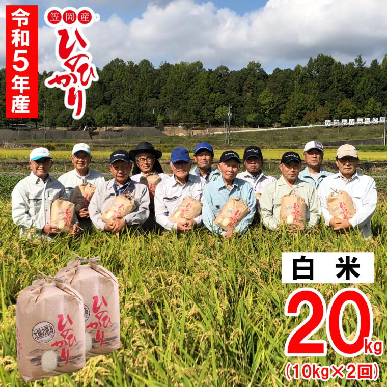 【ふるさと納税】【令和5年産 新米予約受付】白米 岡山県産 ひのひかり 笠岡産 20...